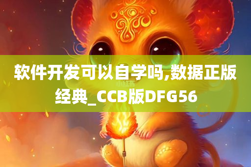 软件开发可以自学吗,数据正版经典_CCB版DFG56