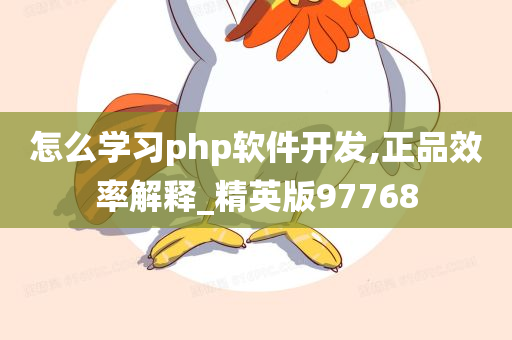 怎么学习php软件开发,正品效率解释_精英版97768