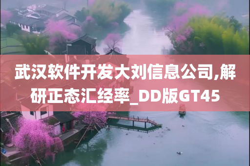 武汉软件开发大刘信息公司,解研正态汇经率_DD版GT45