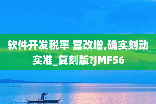 软件开发税率 营改增,确实刻动实准_复刻版?JMF56