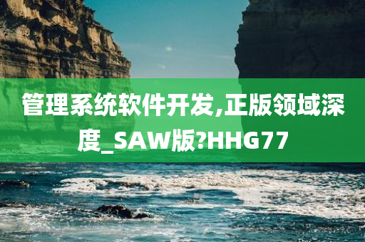 管理系统软件开发,正版领域深度_SAW版?HHG77