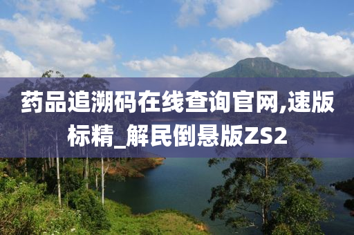 药品追溯码在线查询官网,速版标精_解民倒悬版ZS2