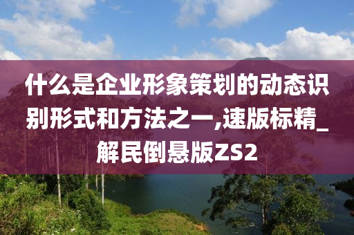 什么是企业形象策划的动态识别形式和方法之一,速版标精_解民倒悬版ZS2