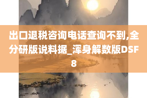 出口退税咨询电话查询不到,全分研版说料据_浑身解数版DSF8