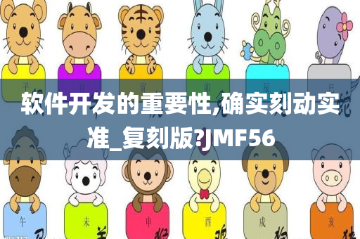 软件开发的重要性,确实刻动实准_复刻版?JMF56