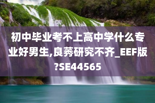 初中毕业考不上高中学什么专业好男生,良莠研究不齐_EEF版?SE44565