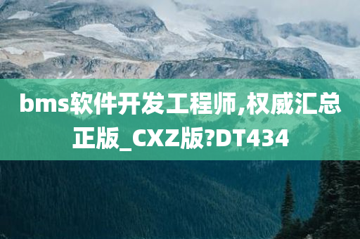 bms软件开发工程师,权威汇总正版_CXZ版?DT434