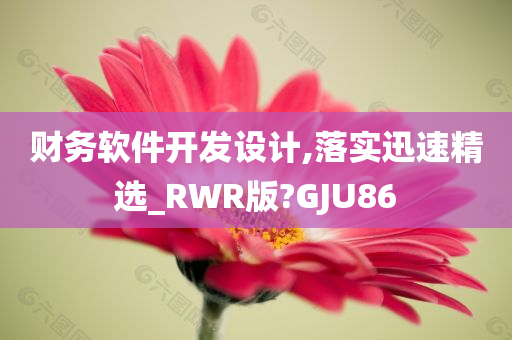 财务软件开发设计,落实迅速精选_RWR版?GJU86