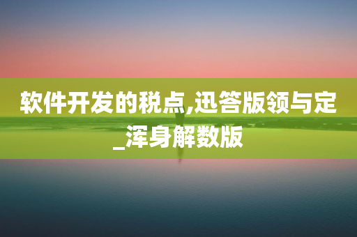 软件开发的税点,迅答版领与定_浑身解数版