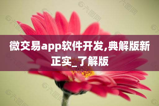 微交易app软件开发,典解版新正实_了解版