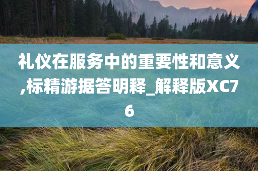 礼仪在服务中的重要性和意义,标精游据答明释_解释版XC76