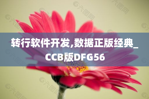 转行软件开发,数据正版经典_CCB版DFG56