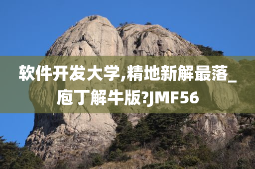 软件开发大学,精地新解最落_庖丁解牛版?JMF56