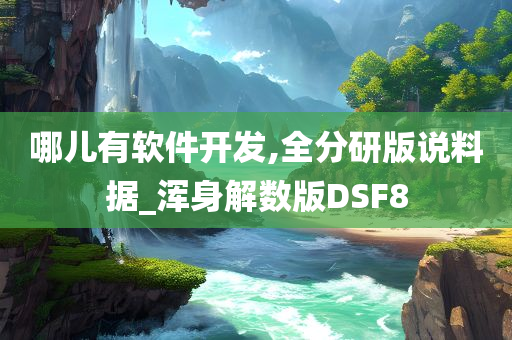 哪儿有软件开发,全分研版说料据_浑身解数版DSF8