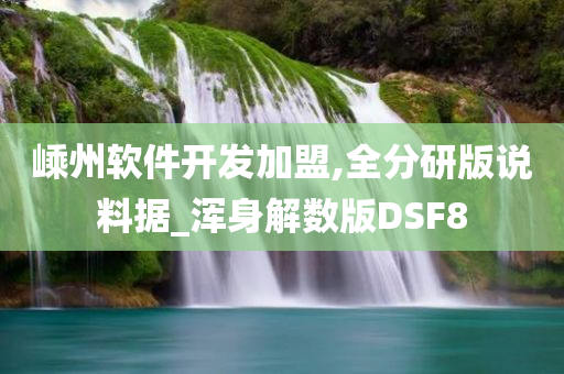 嵊州软件开发加盟,全分研版说料据_浑身解数版DSF8