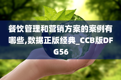 餐饮管理和营销方案的案例有哪些,数据正版经典_CCB版DFG56