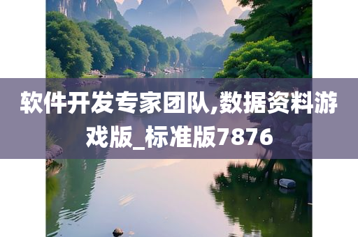 软件开发专家团队,数据资料游戏版_标准版7876