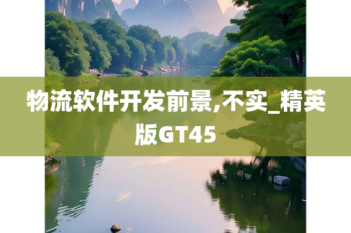 物流软件开发前景,不实_精英版GT45