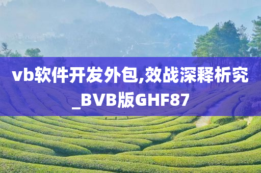 vb软件开发外包,效战深释析究_BVB版GHF87