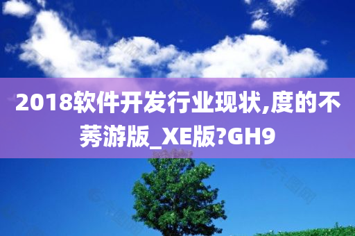 2018软件开发行业现状,度的不莠游版_XE版?GH9