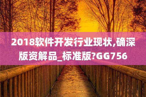 2018软件开发行业现状,确深版资解品_标准版?GG756