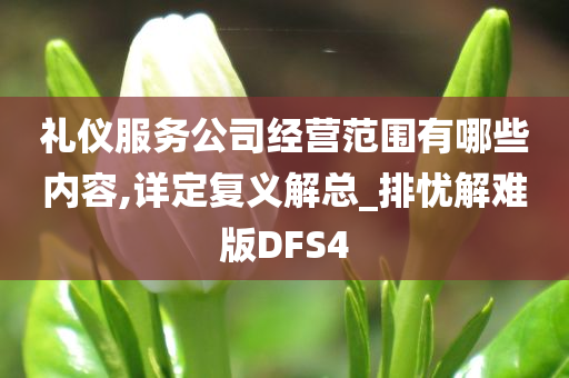 礼仪服务公司经营范围有哪些内容,详定复义解总_排忧解难版DFS4