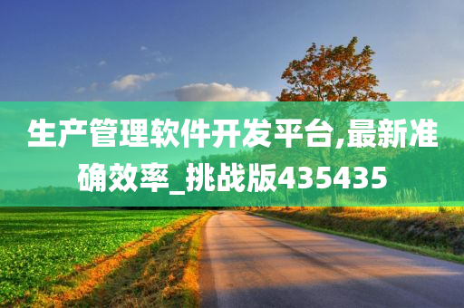 生产管理软件开发平台,最新准确效率_挑战版435435