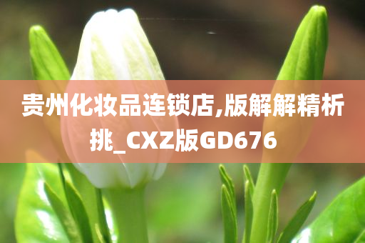 贵州化妆品连锁店,版解解精析挑_CXZ版GD676