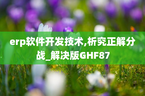 erp软件开发技术,析究正解分战_解决版GHF87