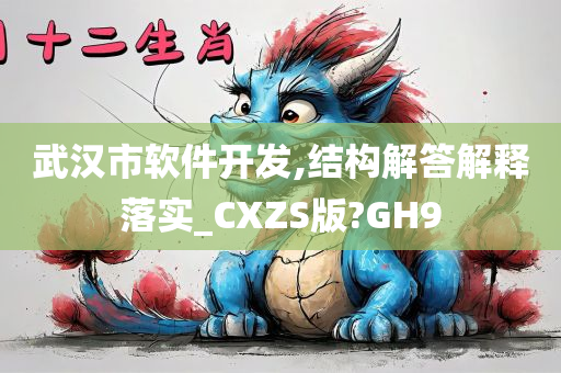 武汉市软件开发,结构解答解释落实_CXZS版?GH9