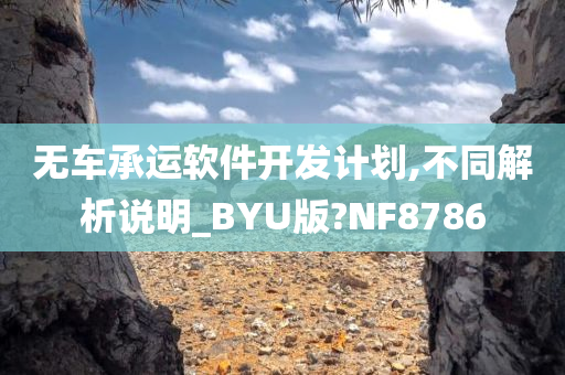 无车承运软件开发计划,不同解析说明_BYU版?NF8786