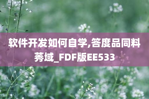 软件开发如何自学,答度品同料莠域_FDF版EE533