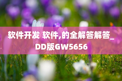 软件开发 软件,的全解答解答_DD版GW5656