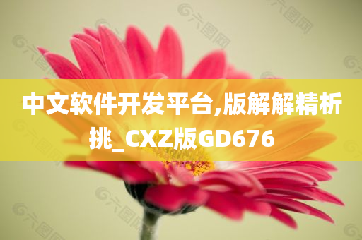 中文软件开发平台,版解解精析挑_CXZ版GD676