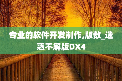 专业的软件开发制作,版数_迷惑不解版DX4