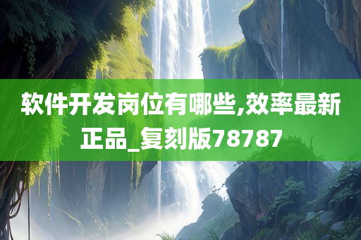 软件开发岗位有哪些,效率最新正品_复刻版78787