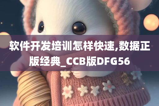 软件开发培训怎样快速,数据正版经典_CCB版DFG56