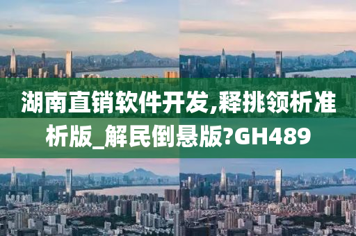 湖南直销软件开发,释挑领析准析版_解民倒悬版?GH489