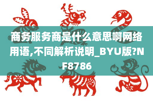 商务服务商是什么意思啊网络用语,不同解析说明_BYU版?NF8786