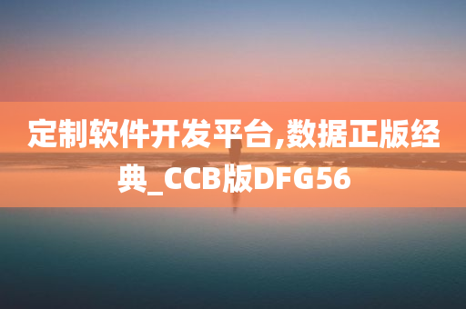 定制软件开发平台,数据正版经典_CCB版DFG56