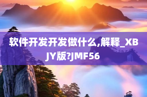 软件开发开发做什么,解释_XBJY版?JMF56