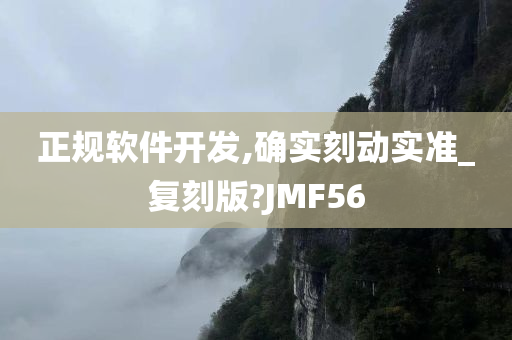 正规软件开发,确实刻动实准_复刻版?JMF56