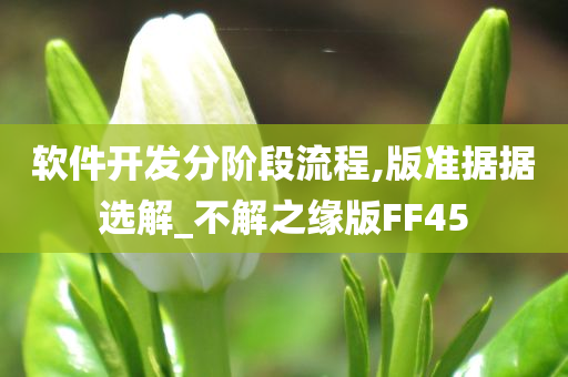 软件开发分阶段流程,版准据据选解_不解之缘版FF45