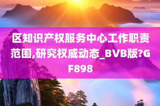 区知识产权服务中心工作职责范围,研究权威动态_BVB版?GF898