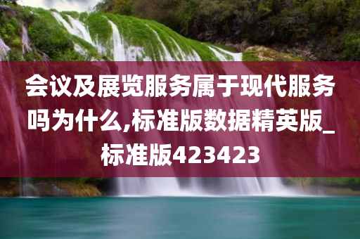 会议及展览服务属于现代服务吗为什么,标准版数据精英版_标准版423423