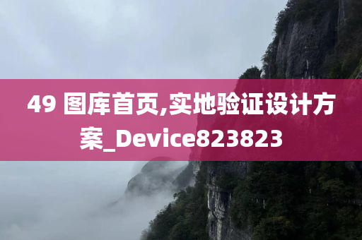 49 图库首页,实地验证设计方案_Device823823