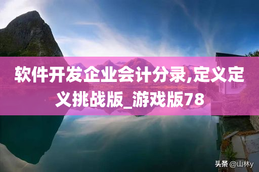 软件开发企业会计分录,定义定义挑战版_游戏版78