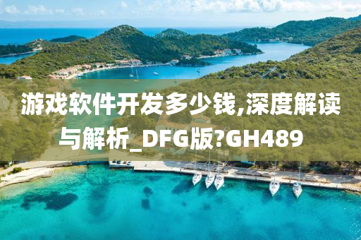 游戏软件开发多少钱,深度解读与解析_DFG版?GH489