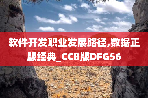 软件开发职业发展路径,数据正版经典_CCB版DFG56