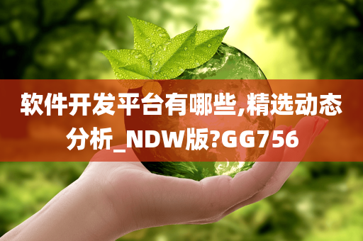 软件开发平台有哪些,精选动态分析_NDW版?GG756